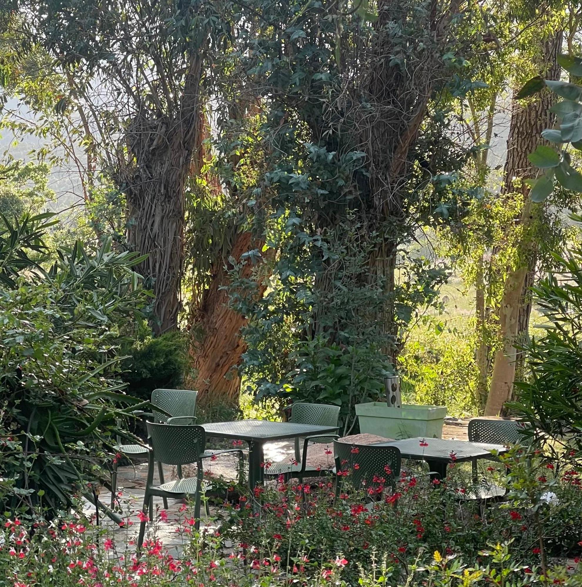 Chambres D'Hotes Barraconu Πόρτο Βέκιο Εξωτερικό φωτογραφία